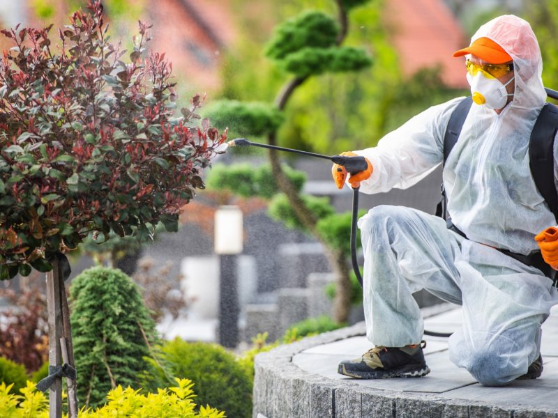 Manavgat Haşere İlaçlama